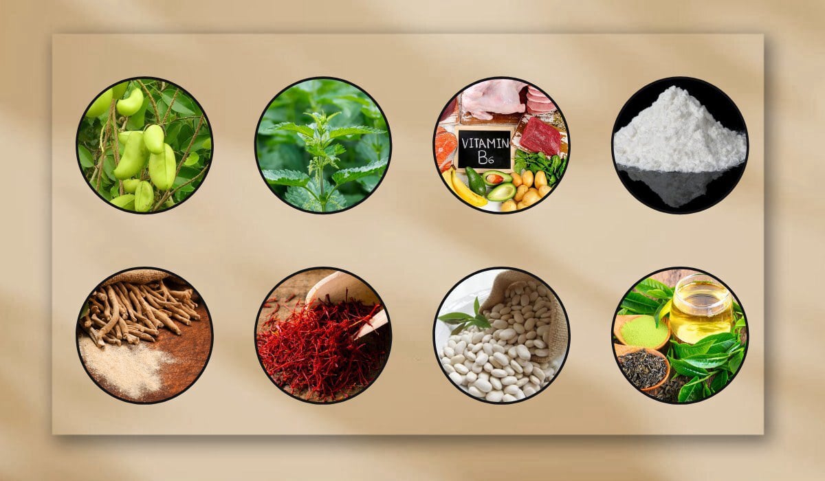 serolean ingredients